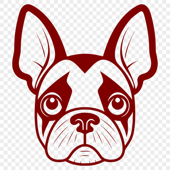 Close-up illustration of a Boston Terrier's face with expressive eyes and floppy ears.