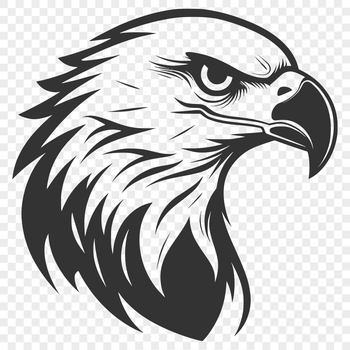 A detailed illustration of a bird's head with sharp talons and feathers.