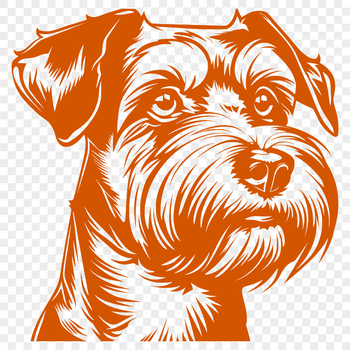 Illustration of a Miniature Schnauzer dog breed with distinct head features.