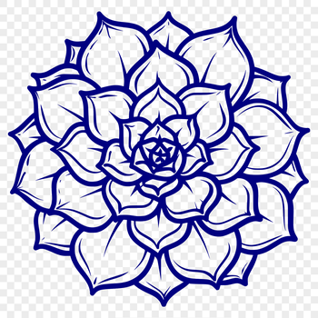 A stylized illustration of a succulent plant in a minimalist design.