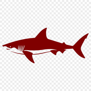 A detailed illustration of a shark, suitable for use in graphic design and digital art projects.
