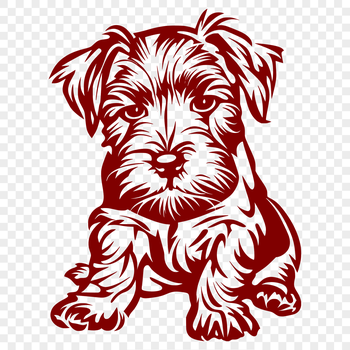 A small dog breed, the miniature schnauzer, sitting in full view with its fur and facial features detailed.