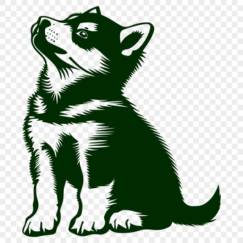 A seated Siberian Husky dog with full-body illustration, suitable for vector art and commercial use.