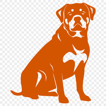 A medium-sized breed dog with a black coat and distinctive markings is depicted in full body pose, sitting on its haunches.