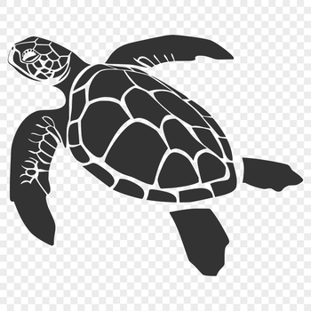A full-body illustration of a sea turtle, suitable for digital design projects.