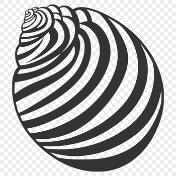 A stylized illustration of a seashell, suitable for graphic design and craft projects.