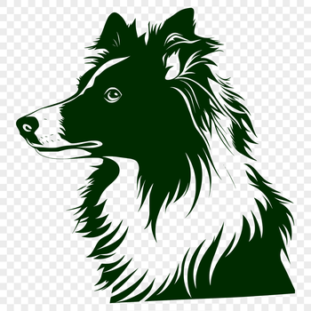 Shetland sheepdog head illustration in vector format