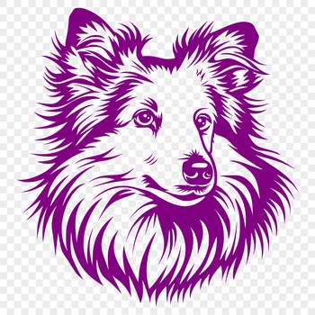 A Shetland sheepdog's head is depicted in this vector illustration.