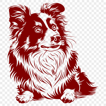 Close-up illustration of a Shetland sheepdog lying on its side, showcasing its fluffy coat.