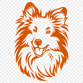 A detailed illustration of the head of a Shetland sheepdog breed.
