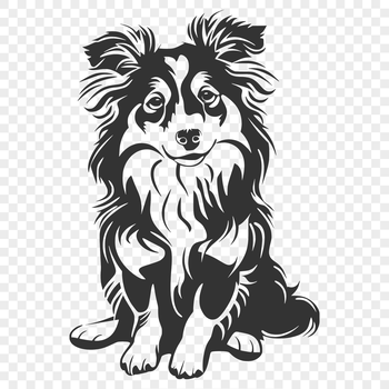 A sitting Shetland sheepdog with a fluffy coat, shown in a full-body view.