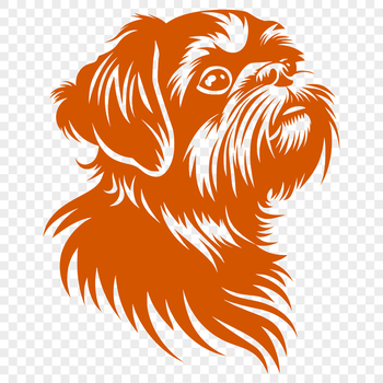 A small breed dog with a flat face and curved tail.