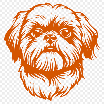 Close-up illustration of a Shih Tzu's adorable face, suitable for vector design projects.