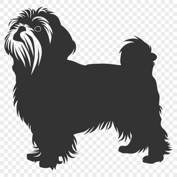 A full-body illustration of a Shih Tzu standing on its hind legs, suitable for various design applications.