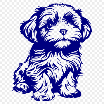 A close-up illustration of a Shih Tzu sitting upright.
