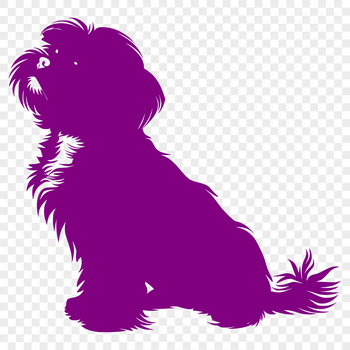 A full-body portrait of a sitting Shih Tzu dog with long fur, suitable for pet owners and enthusiasts.