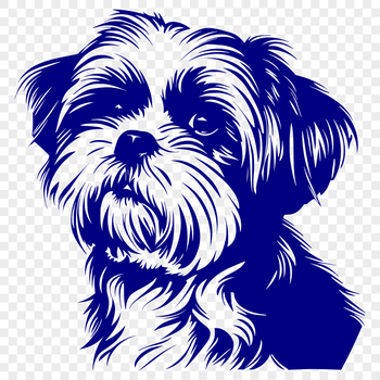 A close-up illustration of a Shih Tzu's head with distinctive facial features.