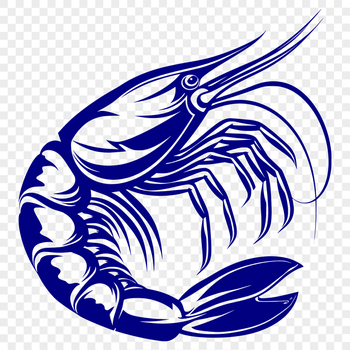 Free Artistic Prawn Vector Drawing