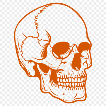 Free Skull SVG