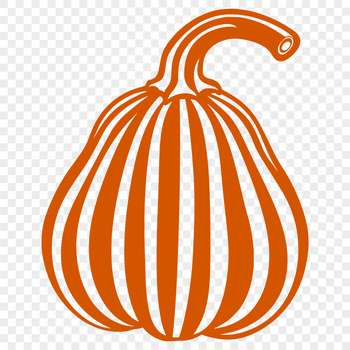 A high-resolution, editable illustration of a yellow summer squash.
