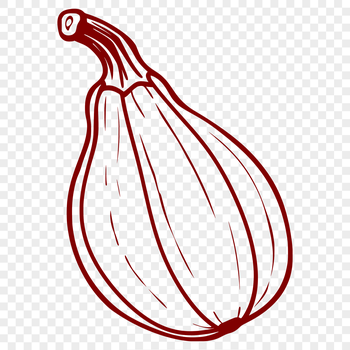 A stylized illustration of a summer squash with a simple design.
