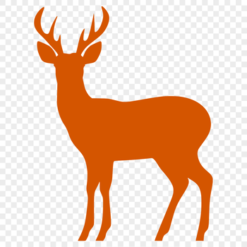 A simple silhouette outline of a deer in full body form.