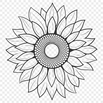A close-up illustration of a sunflower with bright yellow petals and dark center, suitable for graphic design projects.