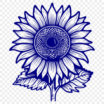 A detailed illustration of a sunflower with large petals and a dark center, suitable for various design applications.