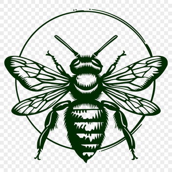 A detailed illustration of a bee's full body, showcasing its anatomy and structure.