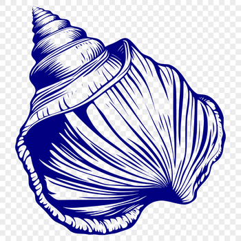 An SVG design element featuring a stylized seashell motif.
