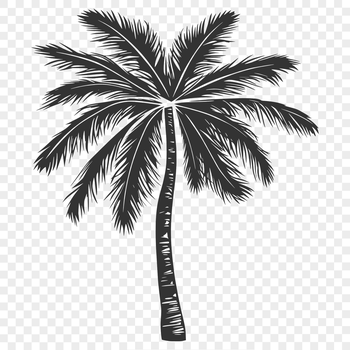 A single palm tree illustration suitable for vector design and cutting machine projects.
