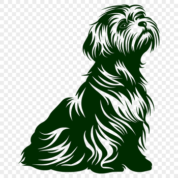 An outline vector graphic of a Havanese breed dog in a seated position.