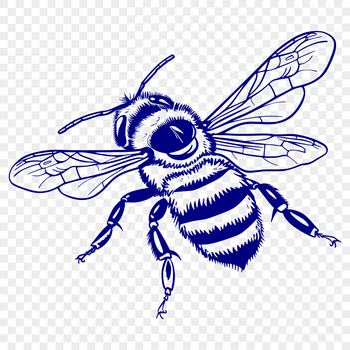 A detailed illustration of a bee in full body view, suitable for vector art and design.