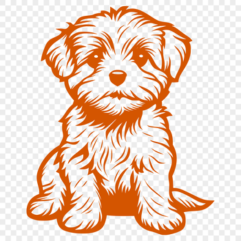 A close-up illustration of a Havanese dog sitting on its haunches, showcasing the breed's distinctive features.