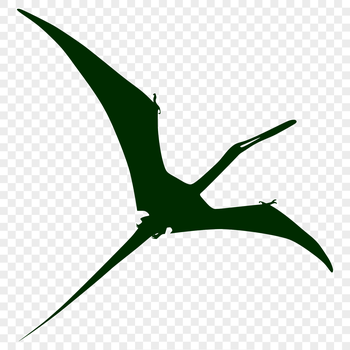 A detailed, prehistoric Pteranodon in full body silhouette form.