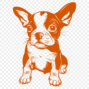 A colorful illustration of a sitting Boston Terrier dog from the front.