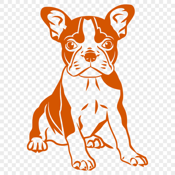 A full-body illustration of a sitting Boston Terrier dog, suitable for pet owners or enthusiasts.