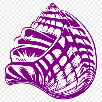 Creative Seashell Design In PNG For Free Download