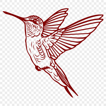 A detailed illustration of a hummingbird in mid-air, showcasing its plumage and wings in flight.