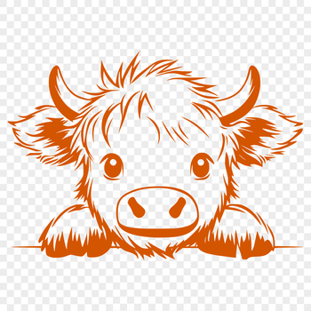 An illustration of a Highland cow's head with distinctive features and markings.