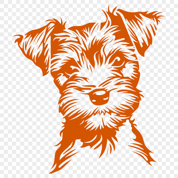 A small breed dog with distinctive facial features, suitable as a clip art element.