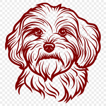 Beautiful Havanese Vector Craft File