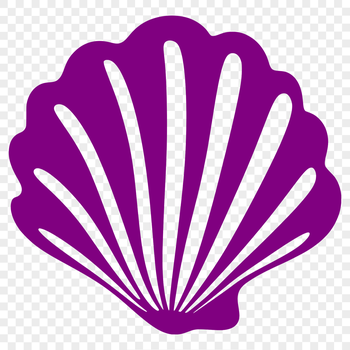 A stylized illustration of a seashell, suitable for digital designs and projects.