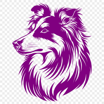 A digital image of a Shetland sheepdog breed profile view.