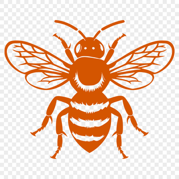 A detailed illustration of a bee in full body pose.