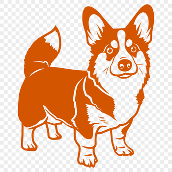 A full-body illustration of a standing Welsh Corgi dog breed.