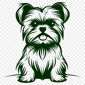 A small breed dog with a short, compact body and a long, narrow head is sitting upright on its hind legs.