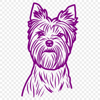 Creative Yorkshire Terrier Image