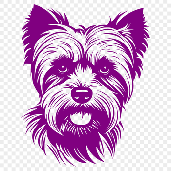 A small dog breed with a distinctive head shape, commonly kept as pets.