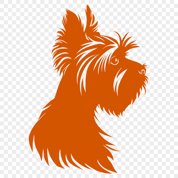 A detailed illustration of a small dog with a long, narrow head and erect ears.